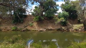 Murray River, Pinjarra.